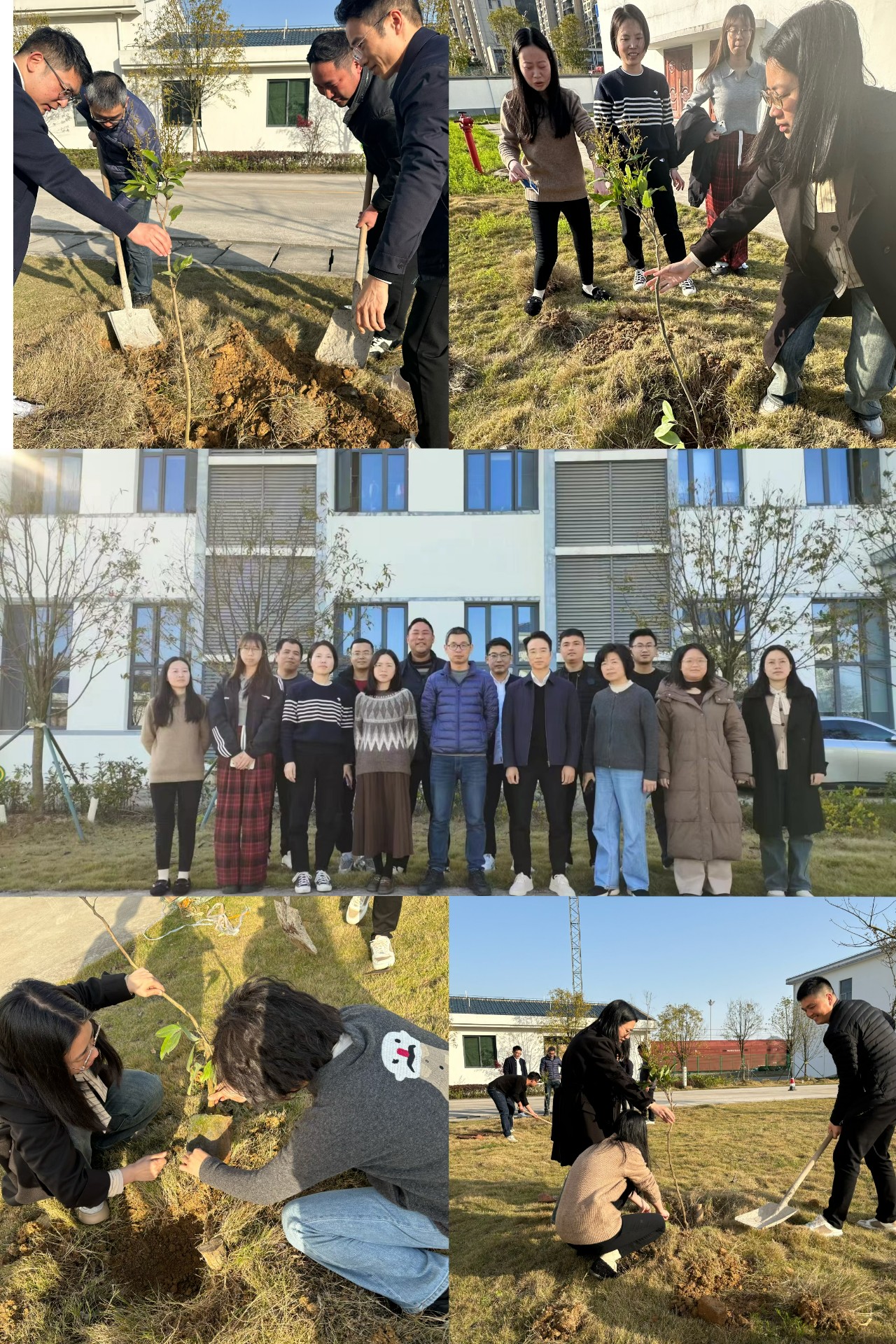 2024-3-12綠色陸港，美麗寧德，阮克妙拍攝.jpg
